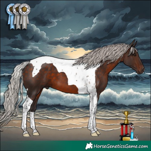 Horse Color:Silver Brown Tobiano 