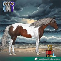 Horse Color:Silver Brown Tobiano 