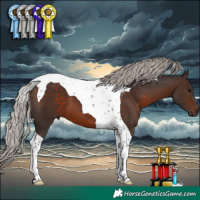 Horse Color:Silver Brown Tobiano 