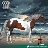 Horse Color:Silver Brown Tobiano