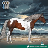 Horse Color:Silver Brown Tobiano