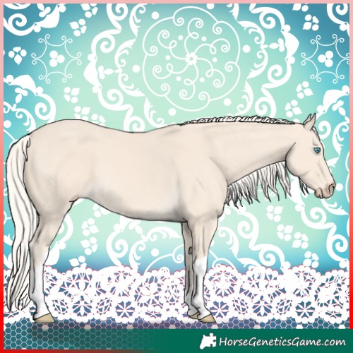 Horse Color:Cremello Tobiano 