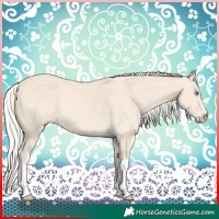 Horse Color:Cremello Tobiano 