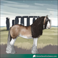 Horse Color:Gray Brown Pearl Dun Splash 