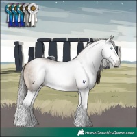 Horse Color:Gray Brown Pearl Dun Splash