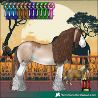 Horse Color:Brown Pearl Dun Splash 