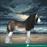 Horse Color:Gray Brown Dun Splash 