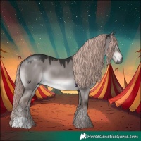 Horse Color:Gray Platinum Liver Red Dun 