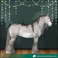 Horse Color:Gray Platinum Liver Red Dun 