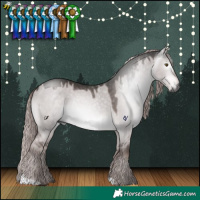 Horse Color:Gray Platinum Liver Red Dun 