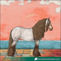 Horse Color:Gray Liver Red Dun Roan 