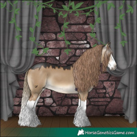 Horse Color:Gray Liver Red Dun Splash 