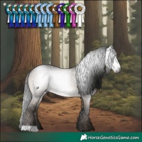 Horse Color:Gray Brown Dun 