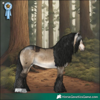 Horse Color:Gray Brown Dun