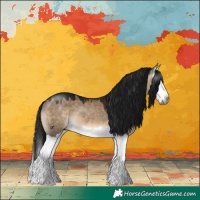 Horse Color:Gray Brown Dun Splash