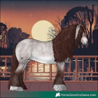 Horse Color:Gray Platinum Chocolate Brown Roan Dun 