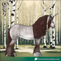 Horse Color:Gray Platinum Chocolate Brown Roan Dun
