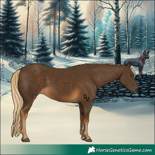 Horse Color:Chocolate Palomino 