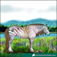 Horse Color:Gray Liver Chestnut