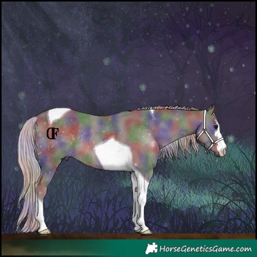Horse Color:Nacre Silver Black Tobiano Rabicano 