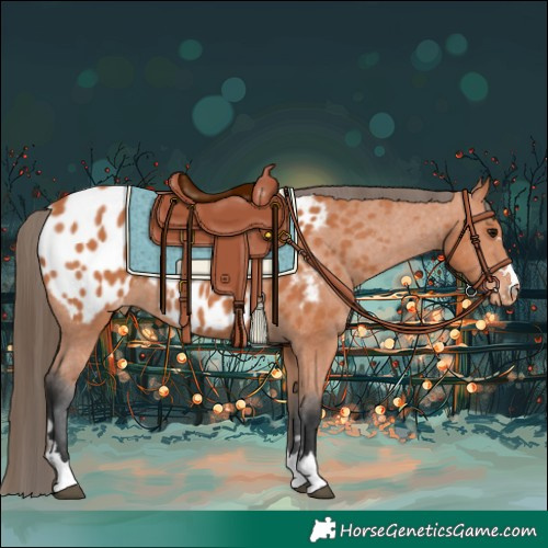 Horse Color:Bay Near Leopard Rabicano 