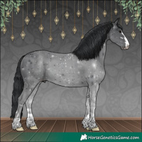 Horse Color:Black 