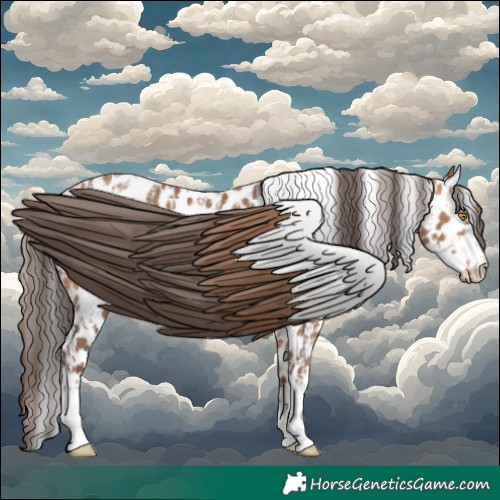 Horse Color:Amber Champagne Appaloosa  and Amber Champagne Frame Appaloosa 