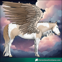Horse Color:Grullo Pearl Splash Tobiano