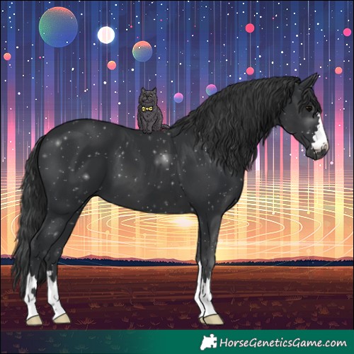 Horse Color:Black 