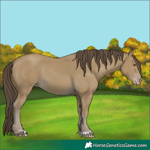 Horse Color:Classic Cream Champagne 