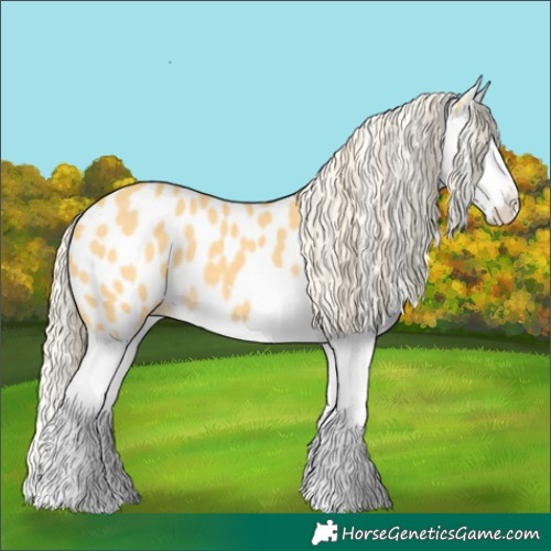 Horse Color:Gold Cream Champagne Splash Near Leopard 