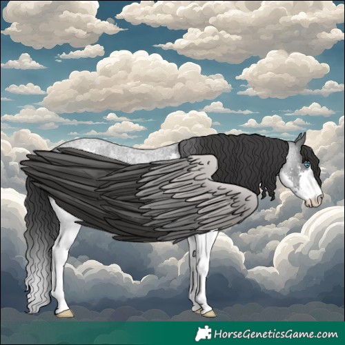 Horse Color:White Spotted Blue Roan Splash 