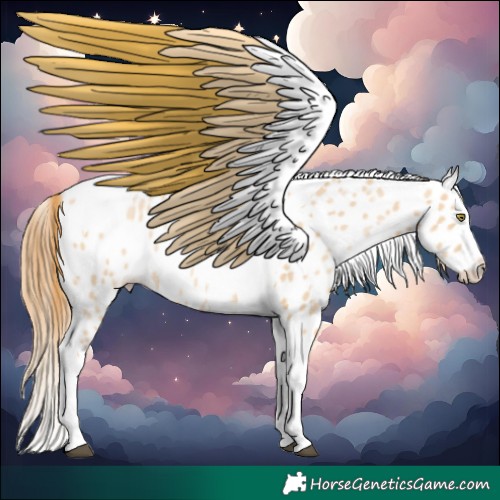 Horse Color:Red Dun Pearl Splash Tobiano Appaloosa