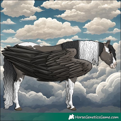 Horse Color:White Spotted Grullo Splash Tobiano 