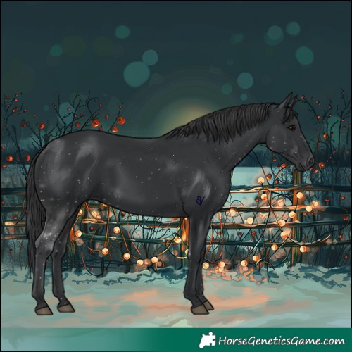Horse Color:Black 