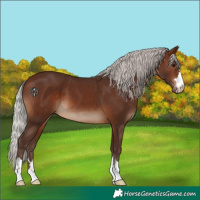 Horse Color:Silver Brown 