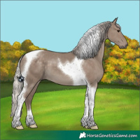 Horse Color:Silver Grullo Tobiano