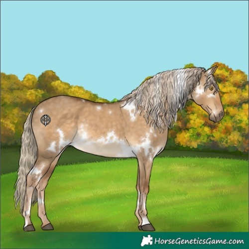 Horse Color:White Spotted Chocolate Palomino Dun Rabicano