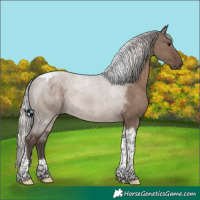 Horse Color:Silver Grullo Tobiano 