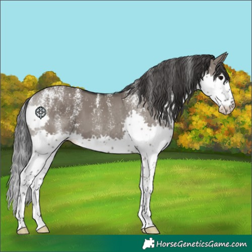Horse Color:Powder White Grullo Splash
