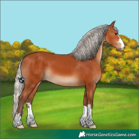Horse Color:Silver Bay 