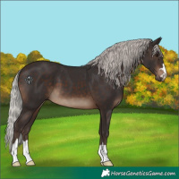 Horse Color:Silver Brown 