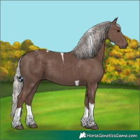 Horse Color:Silver Black Tobiano 