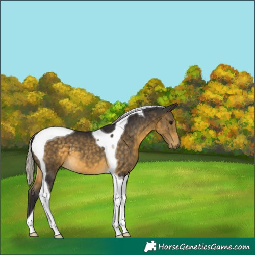 Horse Color:Silver Buckskin Tobiano 