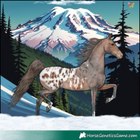 Horse Color:Bay Blanket  and Bay Blanket 