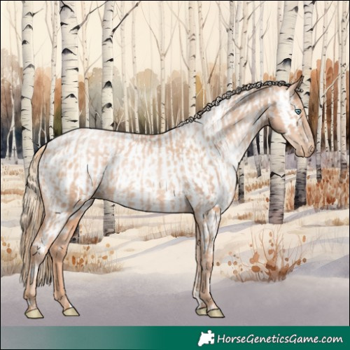 Horse Color:Gold Champagne Pearl Rabicano and Gold Champagne Pearl Appaloosa Rabicano