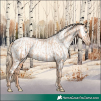 Horse Color:Gold Champagne Pearl Rabicano  and Gold Champagne Pearl Near Leopard Rabicano 