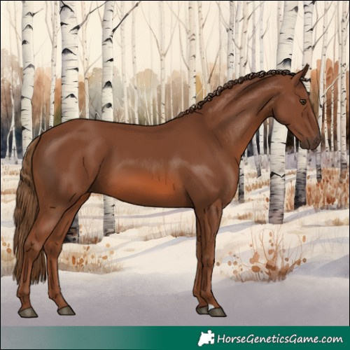 Horse Color:Chestnut 