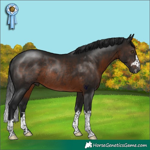 Horse Color:Gray Brown Rabicano 