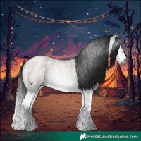 Horse Color:Gray Brown Roan Dun Splash Rabicano 